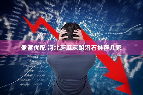 盈富优配 河北芝麻灰路沿石推荐几家