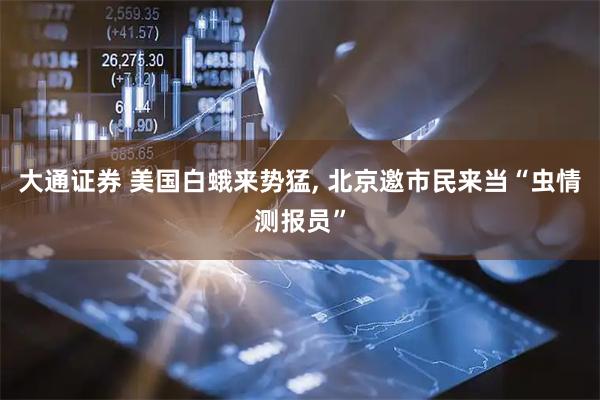 大通证券 美国白蛾来势猛, 北京邀市民来当“虫情测报员”