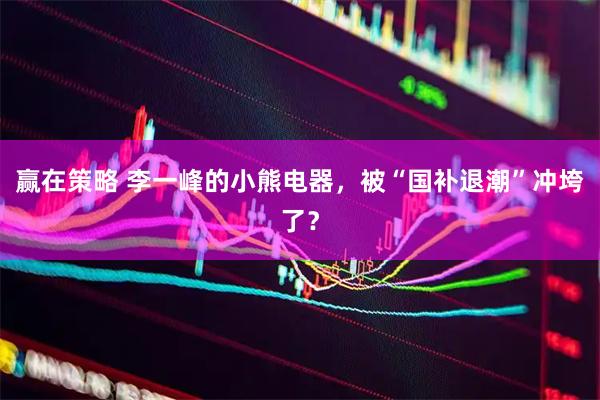 赢在策略 李一峰的小熊电器，被“国补退潮”冲垮了？